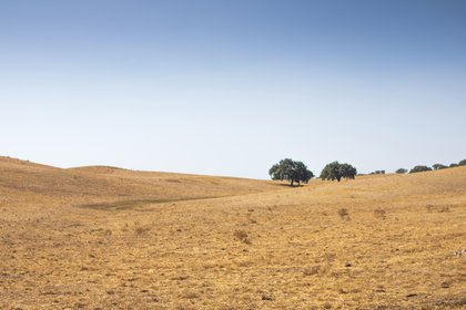 Programa de apoio ao emparcelamento de terrenos foi alargado a todo o país