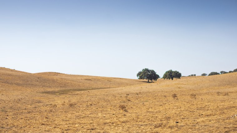 Programa de apoio ao emparcelamento de terrenos foi alargado a todo o país