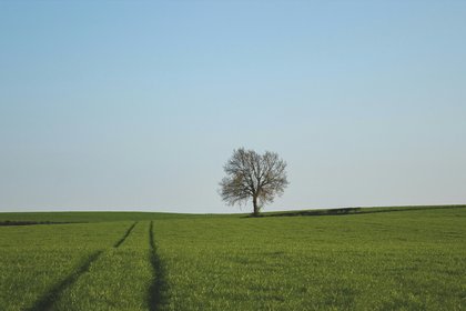 2026 State Budget provides incentives for the consolidation of rural properties